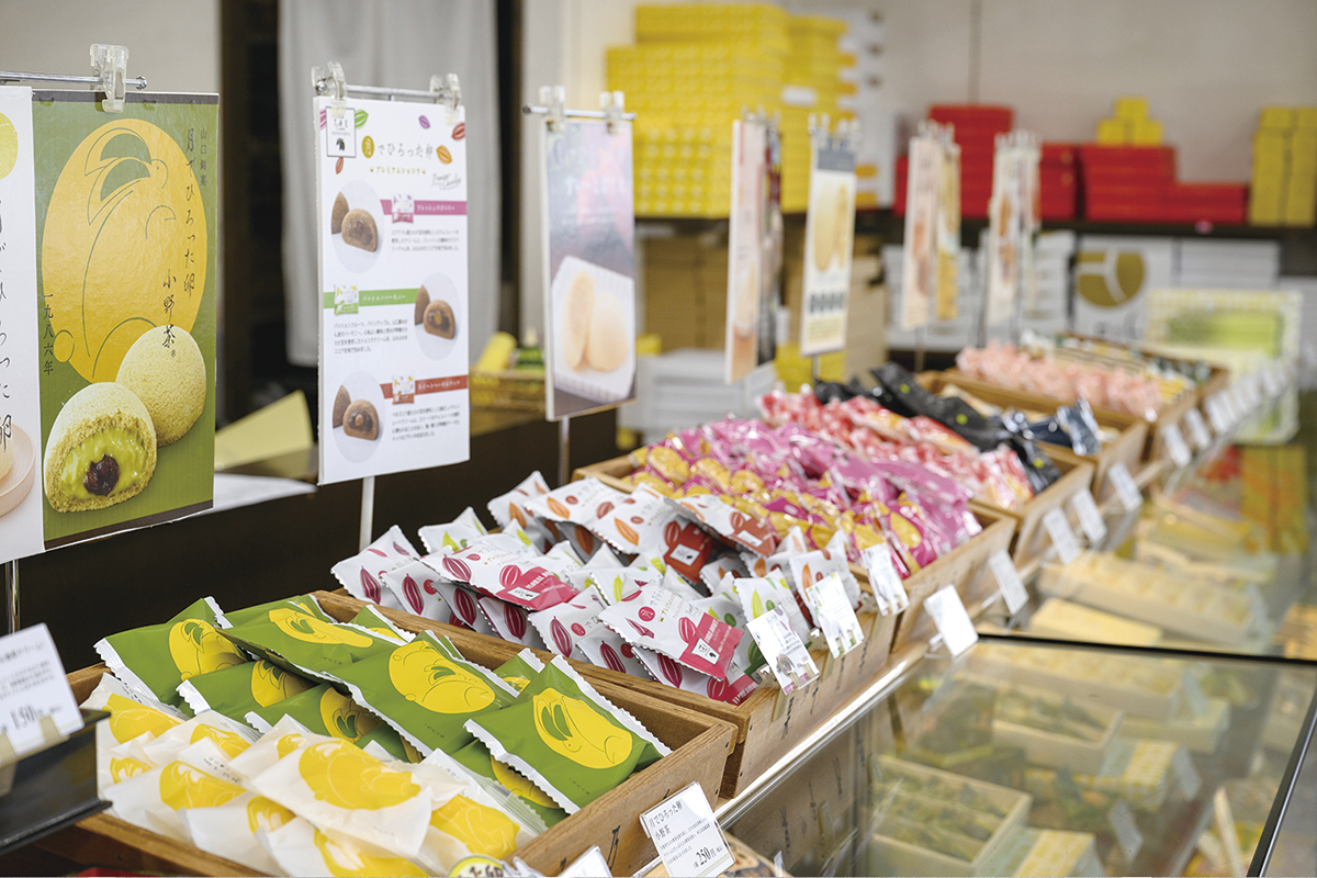 周南市　熊毛　くまげ応援キャンペーン