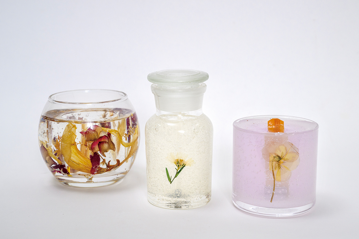 周南市　熊毛　くまげ応援キャンペーン